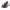https://res.cloudinary.com/billionhands/image/upload/v1763719039/items/ilh0azzmmlpo8rrux4g0.jpg-0cover