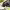 https://res.cloudinary.com/billionhands/image/upload/v1763719204/items/qeutrowhpv4pq506vyzu.jpg-3cover