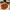 https://res.cloudinary.com/billionhands/image/upload/v1763719424/items/edvtfwozoaswtzgylbnm.jpg-3cover