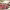 https://res.cloudinary.com/billionhands/image/upload/v1763719509/items/lu1edknyofwbaqaoqfc3.webp-0cover