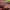 https://res.cloudinary.com/billionhands/image/upload/v1763719531/items/mznb9qregrpjwqsu8ole.jpg-2cover