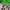https://res.cloudinary.com/billionhands/image/upload/v1763719826/items/qpuatsl0t1lbb3tuabnw.jpg-0cover