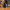 https://res.cloudinary.com/billionhands/image/upload/v1763720199/items/fcttepkgijh8q6fn03ib.webp-2cover