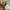 https://res.cloudinary.com/billionhands/image/upload/v1763720212/items/id3mwkmeqzdgtqgi81ms.webp-1cover