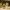 https://res.cloudinary.com/billionhands/image/upload/v1763720267/items/e0wcdbdt9n1vgtosbmo1.webp-2cover