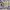 https://res.cloudinary.com/billionhands/image/upload/v1763720487/items/vsdk0eh0ds1da6841qcz.jpg-0cover