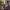 https://res.cloudinary.com/billionhands/image/upload/v1763720859/items/vwfoswshqcskki9n9cvv.jpg-0cover