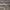 https://res.cloudinary.com/billionhands/image/upload/v1763981300/items/s0lq8dwxrpsxt9swji64.jpg-1cover