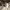 https://res.cloudinary.com/billionhands/image/upload/v1764168330/items/kjcnwid1x2azgarhjyjl.jpg-2cover