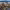 https://res.cloudinary.com/billionhands/image/upload/v1764260872/items/e0edadkqcsclvznvfkc6.jpg-2cover