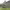 https://res.cloudinary.com/billionhands/image/upload/v1764286550/items/fykabbeatjnqifjm5tdd.jpg-1cover