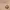 https://res.cloudinary.com/billionhands/image/upload/v1764320952/items/dvtmkbrao1uejgr8y1jm.jpg-0cover