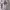 https://res.cloudinary.com/billionhands/image/upload/v1764621587/items/a5ivtdt3ujbu3gqyloxf.avif-3cover