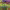 https://res.cloudinary.com/billionhands/image/upload/v1764622258/items/ymujv7zzfxsumxhmvnzm.avif-0cover