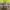 https://res.cloudinary.com/billionhands/image/upload/v1765275920/items/ptyxthdn0zoldb7fjaqk.jpg-2cover