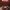 https://res.cloudinary.com/billionhands/image/upload/v1765277217/items/eriyqbuezkrayhfmb0be.jpg-0cover