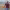https://res.cloudinary.com/billionhands/image/upload/v1765277230/items/b7syysi9cewmrfes3tih.webp-2cover
