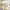 https://res.cloudinary.com/billionhands/image/upload/v1765277441/items/km5nwtci86xtx3absvac.jpg-0cover