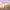 https://res.cloudinary.com/billionhands/image/upload/v1765277442/items/nvd07gxd7y5ggrfhytcl.jpg-1cover