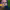 https://res.cloudinary.com/billionhands/image/upload/v1765277455/items/a0oswz6rf2m3h7xqeroo.jpg-3cover