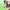 https://res.cloudinary.com/billionhands/image/upload/v1765278651/items/qksrrgyiqqwo7dsnae3l.jpg-3cover