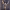 https://res.cloudinary.com/billionhands/image/upload/v1765278669/items/qjwqwxj8k7waygbhsjng.jpg-3cover