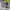 https://res.cloudinary.com/billionhands/image/upload/v1765278878/items/pwrmdaqsraiad6vipuwz.jpg-2cover