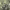 https://res.cloudinary.com/billionhands/image/upload/v1765278882/items/abxri79nmpomujn0tsrk.jpg-1cover