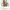 https://res.cloudinary.com/billionhands/image/upload/v1765278884/items/wts0fgkxla4go6vkrdep.jpg-2cover