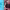 https://res.cloudinary.com/billionhands/image/upload/v1765279020/items/ns2ylpdpqanpi2r8mfaj.jpg-3cover