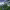 https://res.cloudinary.com/billionhands/image/upload/v1765281581/items/prumizymnxgc5fswakiw.jpg-1cover