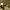 https://res.cloudinary.com/billionhands/image/upload/v1765281593/items/xlst1qacoo4katifcxln.jpg-3cover