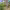 https://res.cloudinary.com/billionhands/image/upload/v1765281596/items/sp9aegi25xwwff0je4oi.jpg-0cover