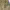 https://res.cloudinary.com/billionhands/image/upload/v1765281597/items/sg3cwczhhvnu3inzoyrk.avif-1cover