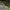https://res.cloudinary.com/billionhands/image/upload/v1765281608/items/x6fmi8hh6whkwbv773zs.jpg-3cover