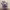 https://res.cloudinary.com/billionhands/image/upload/v1765286262/items/jjiwpfdjgp7uykkq0n8v.jpg-2cover