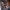 https://res.cloudinary.com/billionhands/image/upload/v1765286359/items/ld5bfekh59gdwbg7fyuv.jpg-3cover