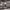 https://res.cloudinary.com/billionhands/image/upload/v1765287996/items/mjmyodofnvqrptzcsqer.webp-3cover
