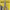 https://res.cloudinary.com/billionhands/image/upload/v1765387182/items/muw0hqfk5hses3nipywq.jpg-2cover
