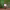 https://res.cloudinary.com/billionhands/image/upload/v1765387200/items/axiwjoka2vhkkznzjl8d.jpg-2cover