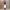 https://res.cloudinary.com/billionhands/image/upload/v1765443848/items/kgehd3xx4tehwjh2jrfg.webp-3cover