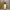 https://res.cloudinary.com/billionhands/image/upload/v1765443866/items/rifffh5yxrhjoxiyjcix.webp-3cover