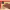 https://res.cloudinary.com/billionhands/image/upload/v1765445440/items/rrgtudlpvrdu3kslyggw.jpg-3cover