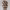 https://res.cloudinary.com/billionhands/image/upload/v1765445586/items/jqaqtxunon9kebksuc4t.webp-1cover