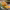 https://res.cloudinary.com/billionhands/image/upload/v1765445698/items/w4uk6e7gfw63hlnx0bfq.avif-2cover