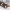 https://res.cloudinary.com/billionhands/image/upload/v1765446695/items/lsj7vipnfsd5tbjhhnom.webp-2cover