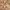 https://res.cloudinary.com/billionhands/image/upload/v1765446739/items/pn4p9f2fararfuciuwv7.jpg-2cover