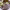 https://res.cloudinary.com/billionhands/image/upload/v1765446739/items/vwtkobi9cavqpr1za1lg.jpg-1cover