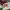 https://res.cloudinary.com/billionhands/image/upload/v1765447359/items/vuc5nxeaxhp11wpid7dq.jpg-3cover