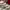https://res.cloudinary.com/billionhands/image/upload/v1765447363/items/vdqqqpqghlkkv3az9amj.webp-0cover